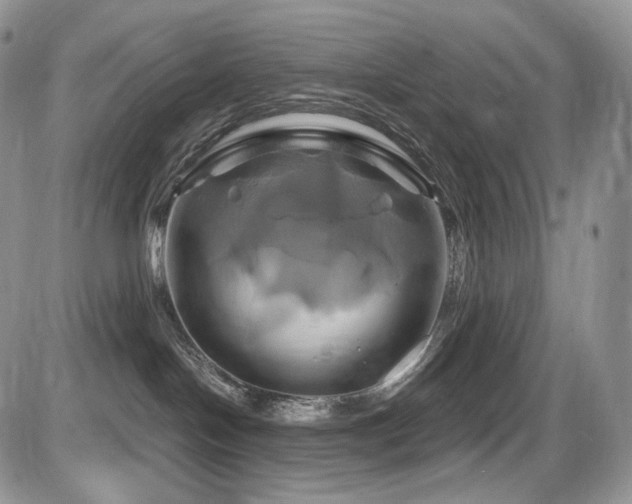 X0000086020094200703231157