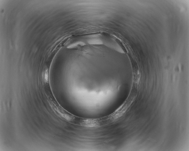 X0000086020095200703231157