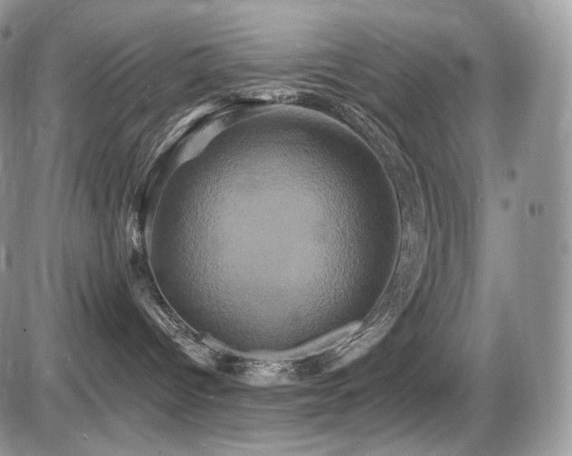 X0000086020096200703231157