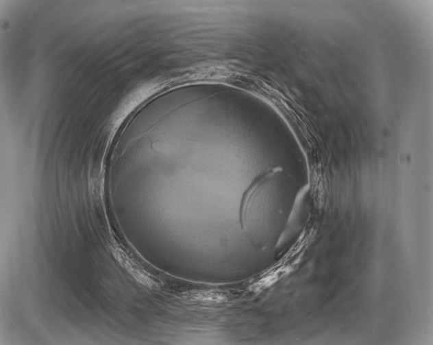 X0000086020100200703231156