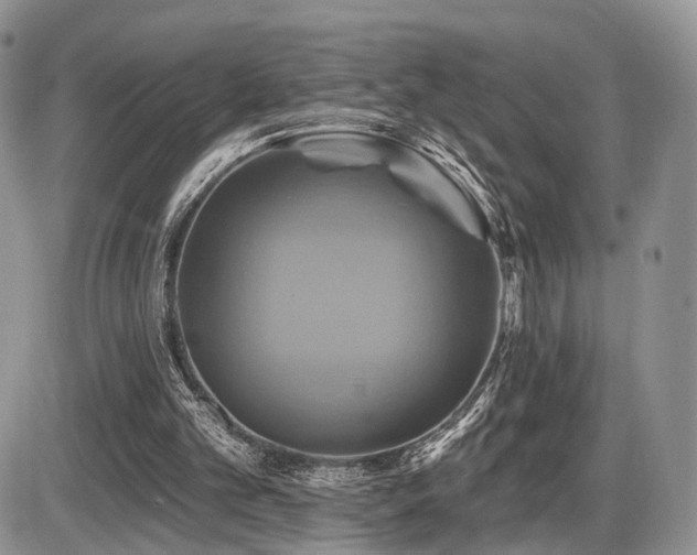 X0000086020101200703231156