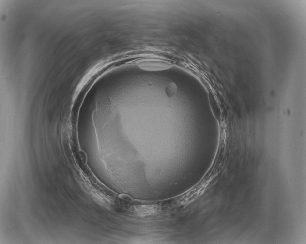 X0000086020102200703231156