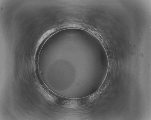 X0000086020104200703231156
