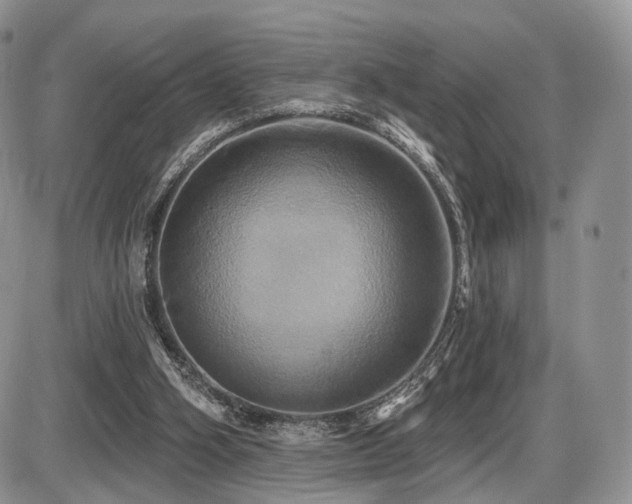 X0000086020106200703231156