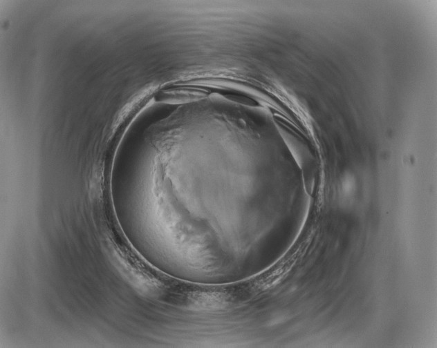 X0000086020107200703231156
