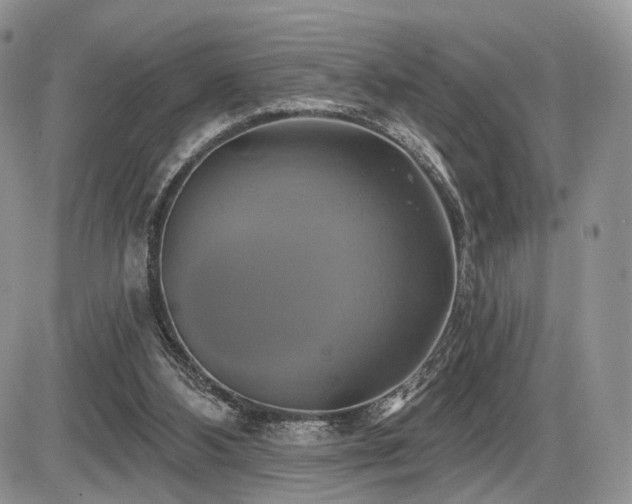 X0000086020108200703231156