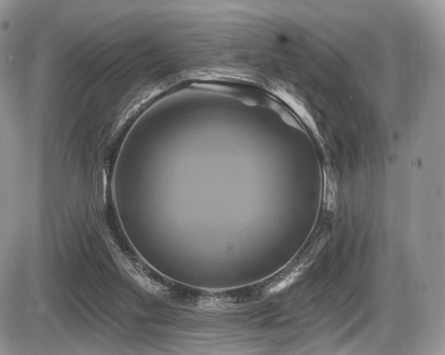 X0000086020109200703231156