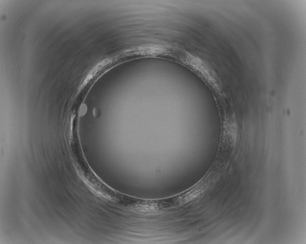 X0000086020110200703231156