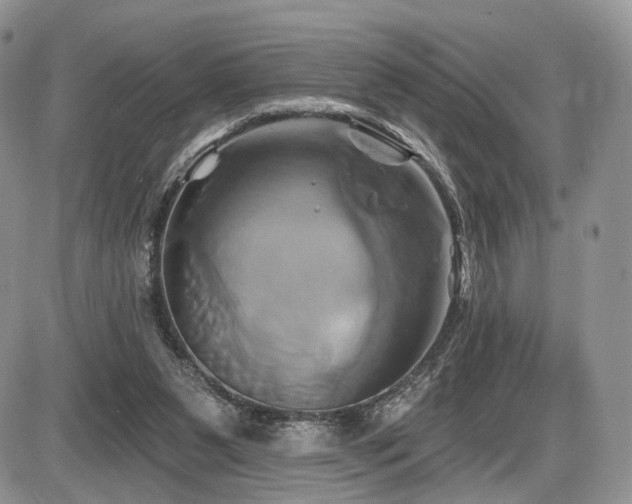 X0000086020111200703231156
