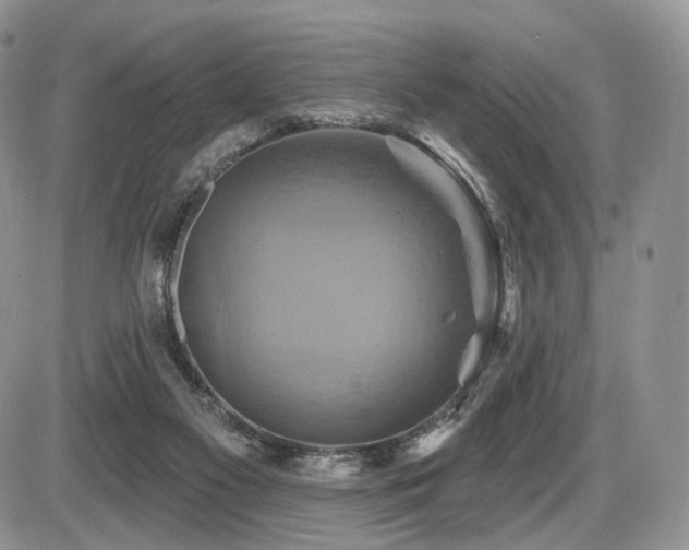 X0000086020117200703231156