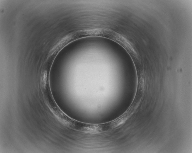 X0000086020118200703231156