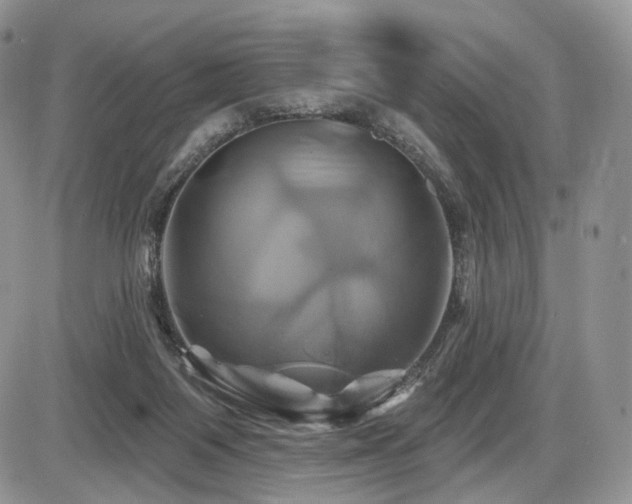 X0000086020119200703231156