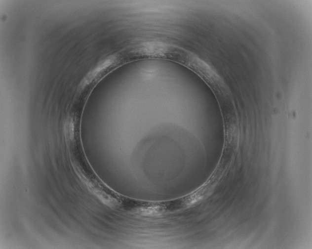 X0000086020120200703231156