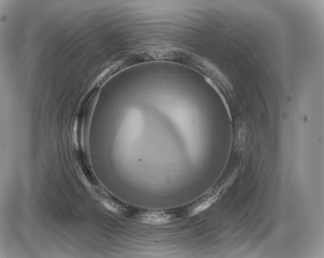 X0000086020121200703231156