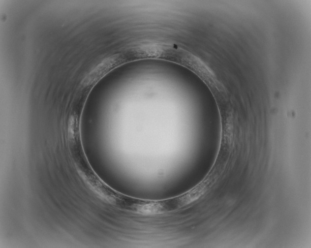 X0000086020122200703231156