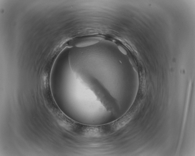 X0000086020123200703231156