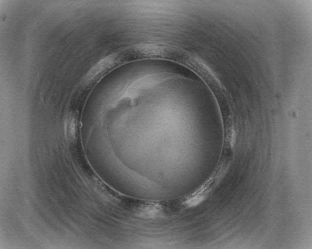 X0000086020124200703231156