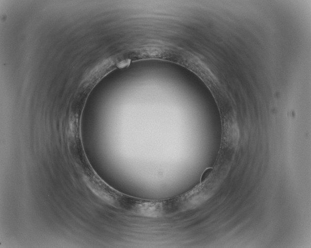 X0000086020126200703231156