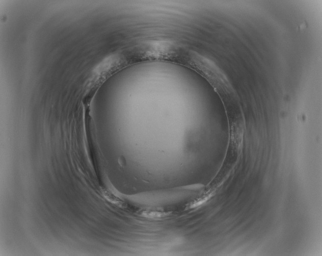 X0000086020127200703231156