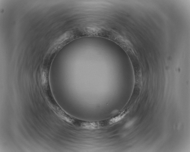 X0000086020131200703231156