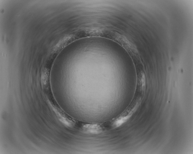 X0000086020133200703231156