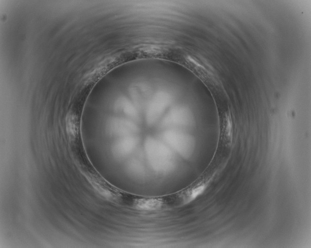 X0000086020135200703231156
