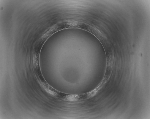 X0000086020136200703231156