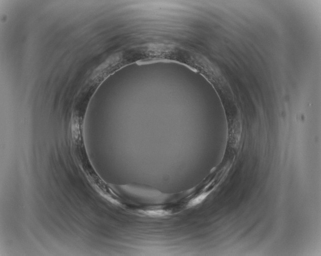X0000086020137200703231156