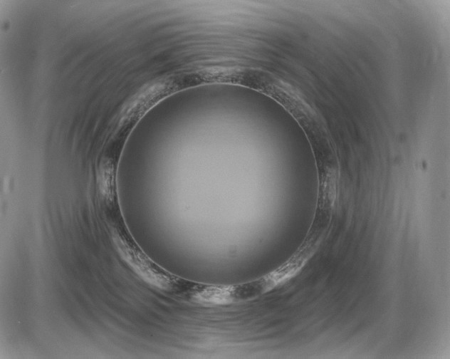 X0000086020138200703231156
