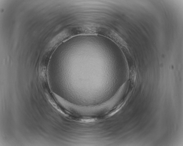 X0000086020141200703231155