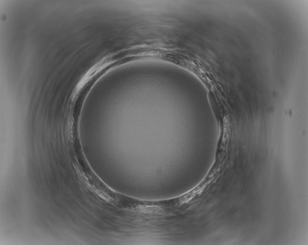 X0000086020150200703231155