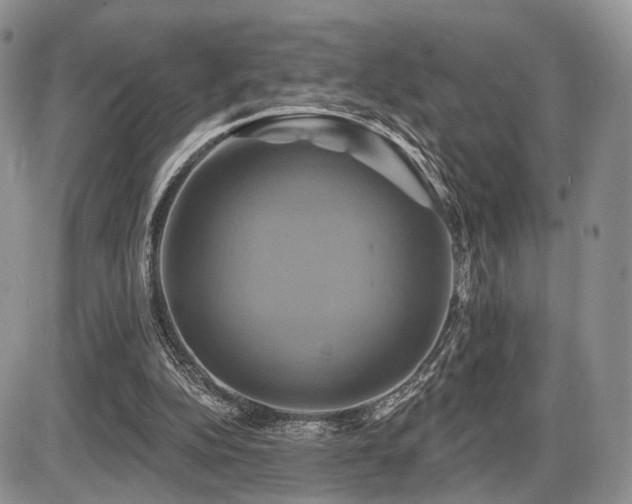 X0000086020152200703231155