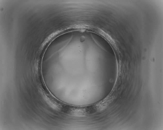 X0000086020155200703231155