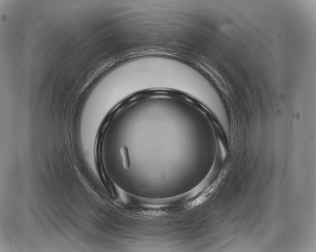 X0000086020158200703231155