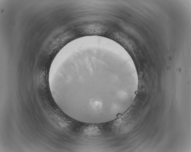 X0000086020162200703231155