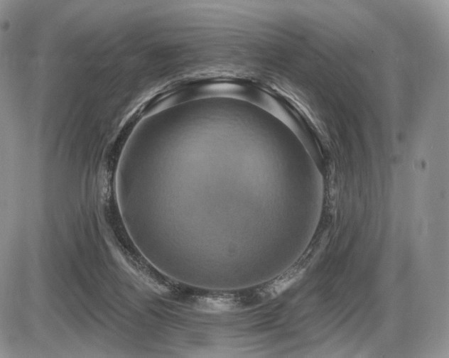 X0000086020164200703231155
