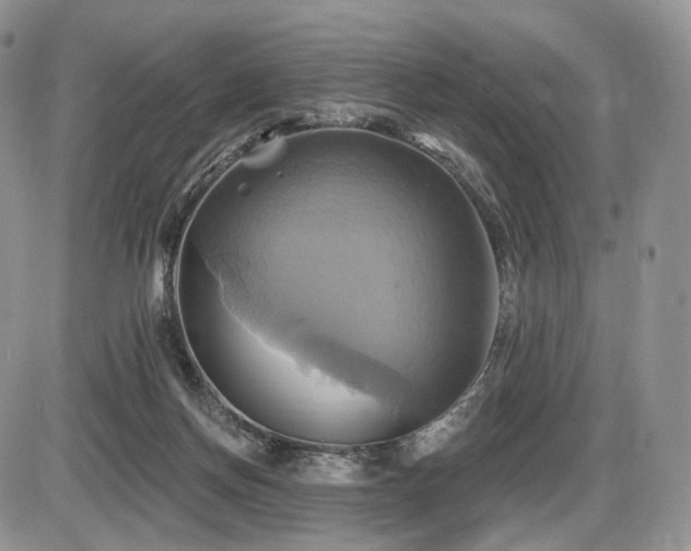 X0000086020166200703231155