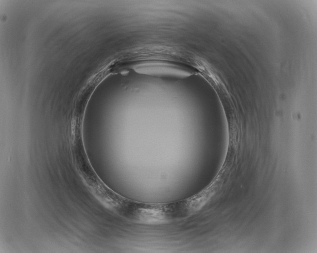 X0000086020167200703231155
