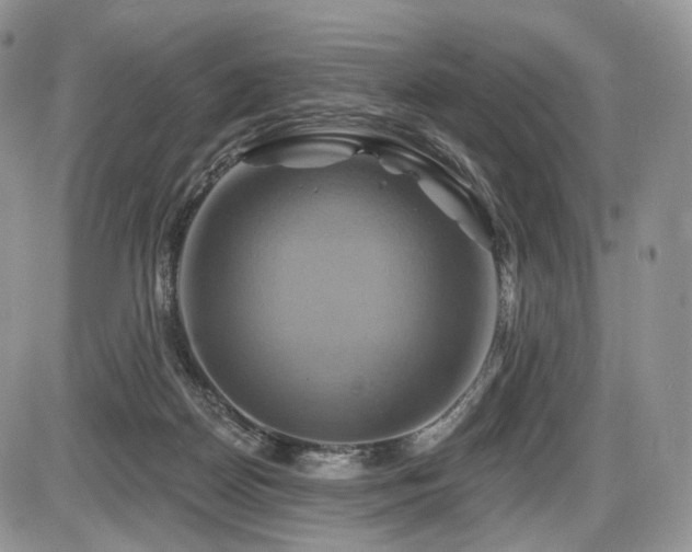 X0000086020170200703231155