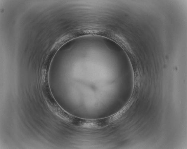 X0000086020171200703231155