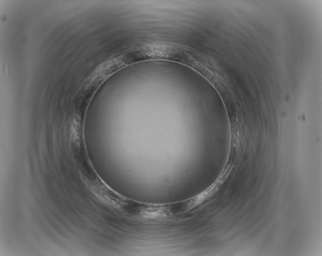 X0000086020175200703231155