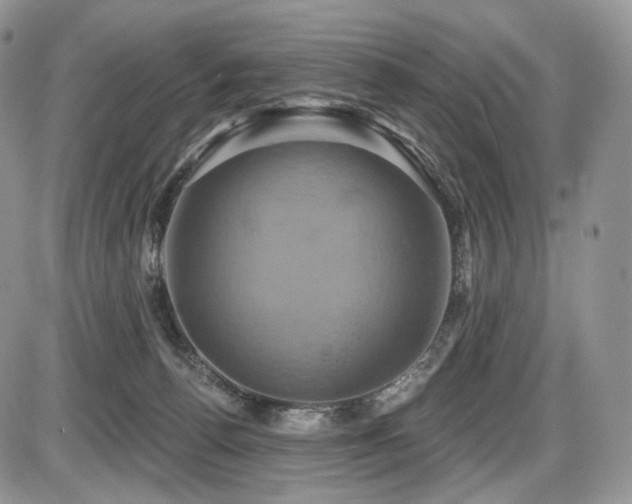 X0000086020176200703231155