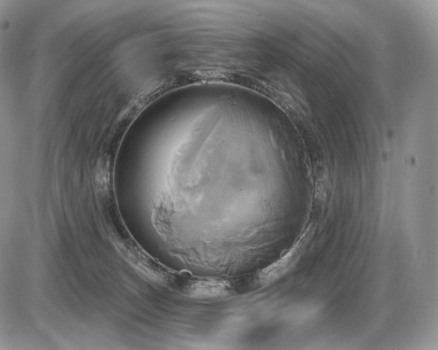 X0000086020179200703231155