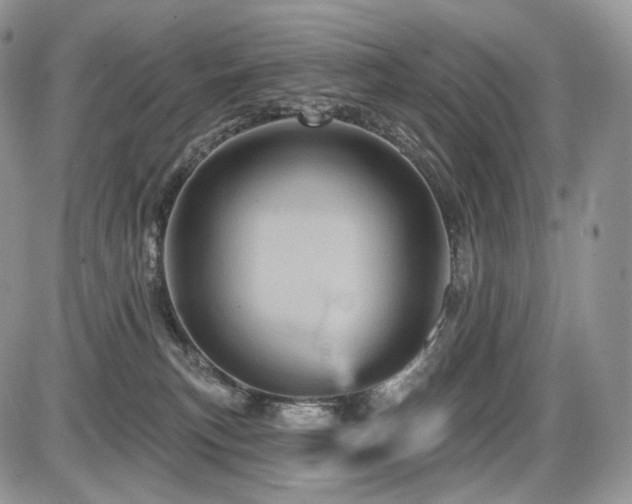 X0000086020183200703231155