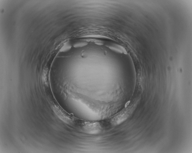 X0000086020185200703231155