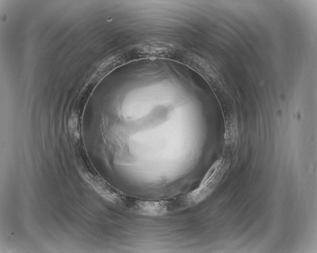 X0000086020187200703231155