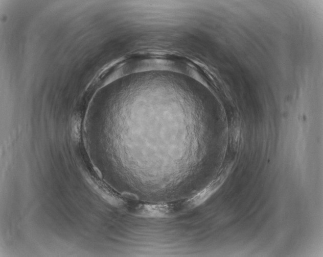 X0000086020188200703231155