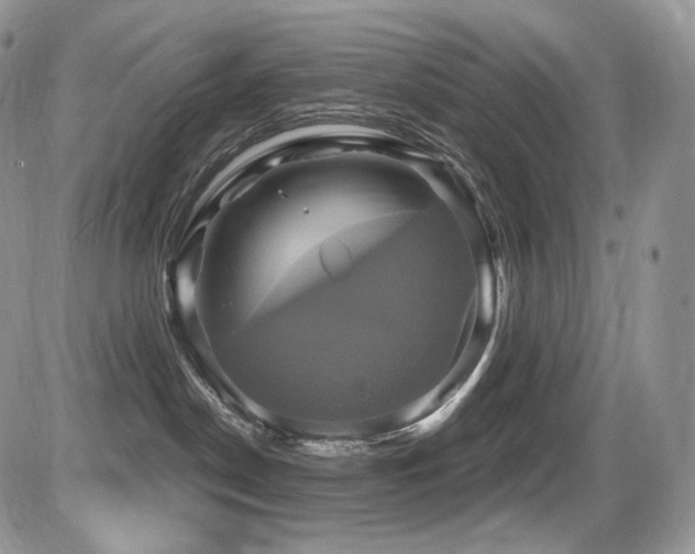 X0000086020190200703231155