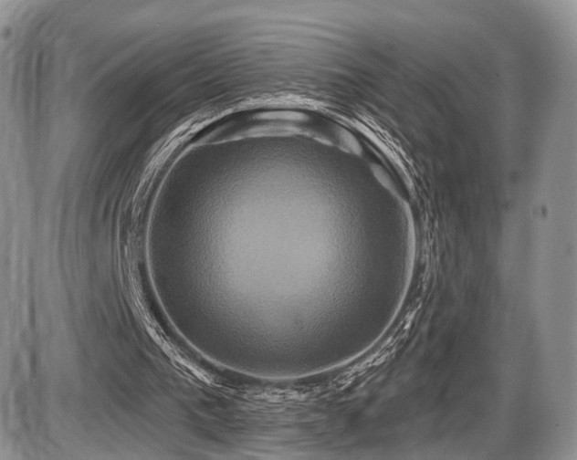 X0000086020193200703231155