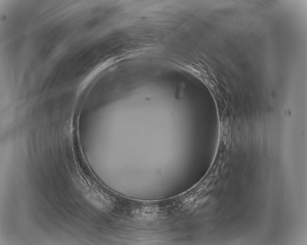X0000086020196200703231155